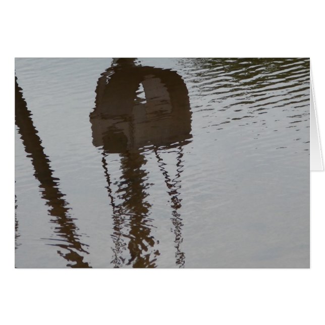 Swing Reflection in Flash Flood Water (Front Horizontal)