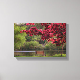 Swinging Bench 12x8 .75" Canvas Print