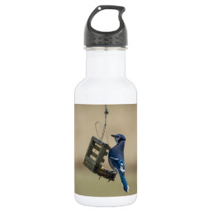 Swinging Blue Jay 532 Ml Water Bottle