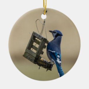 Swinging Blue Jay Ceramic Tree Decoration