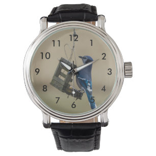 Swinging Blue Jay Watch