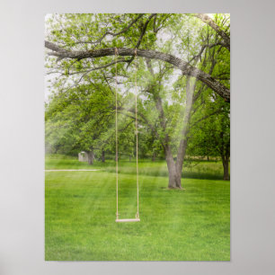 Swinging In The Sunlight Poster