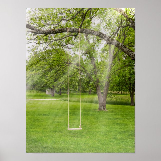 Swinging In The Sunlight Poster (Front)