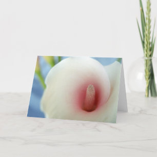 Swirl White Calla Lily Art Greeting Cards