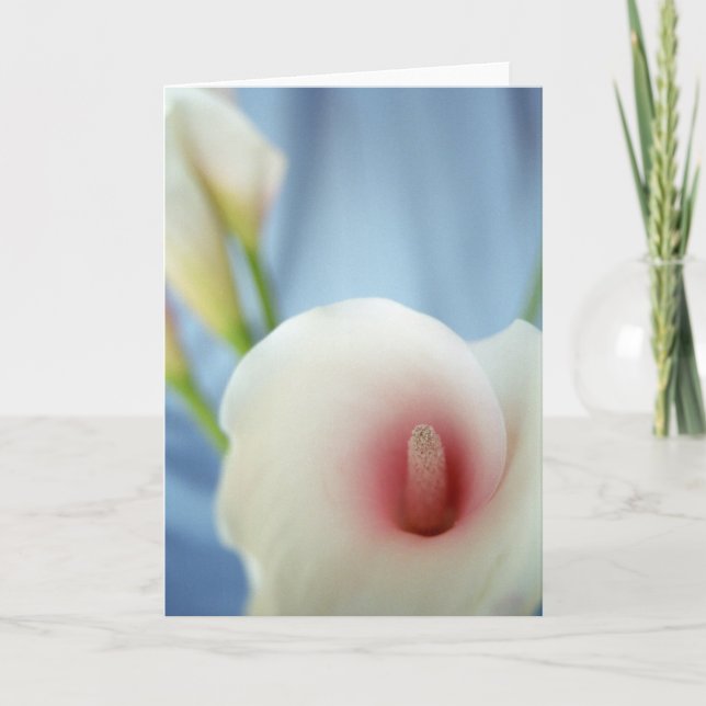 Swirl White Calla Lily Greeting Cards (Front)