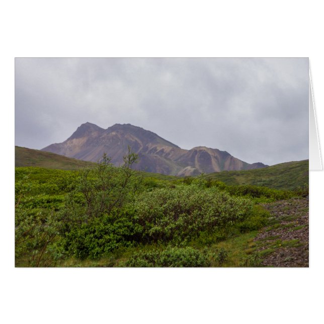 Swirled Beauty In Denali (Front Horizontal)