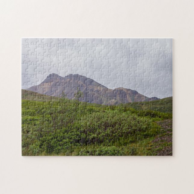 Swirled Beauty In Denali Jigsaw Puzzle (Horizontal)
