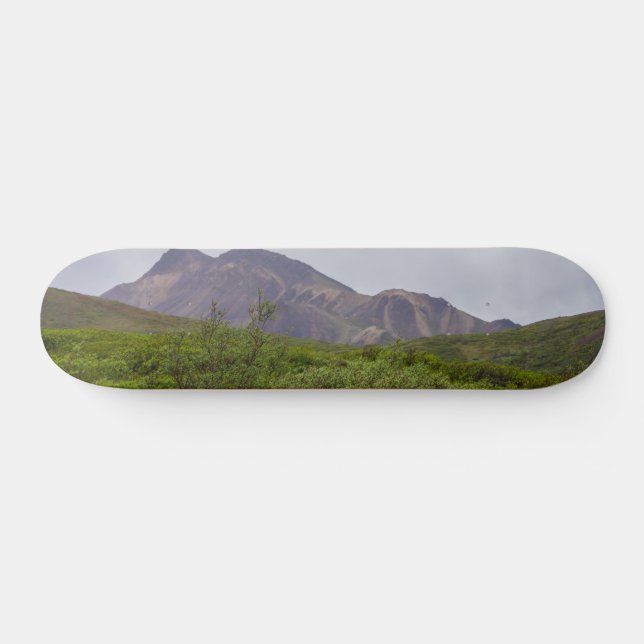 Swirled Beauty In Denali Skateboard (Horz)