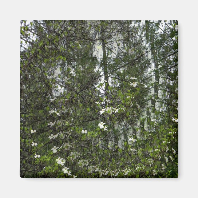 Swirling Dogwoods.... Magnet (Front)