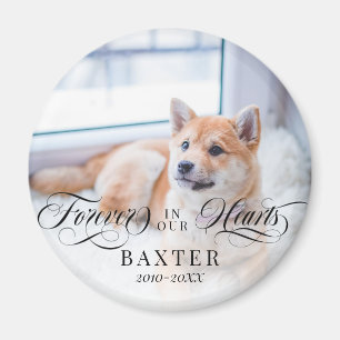 Swirly Forever In Our Hearts Pet Photo Magnet