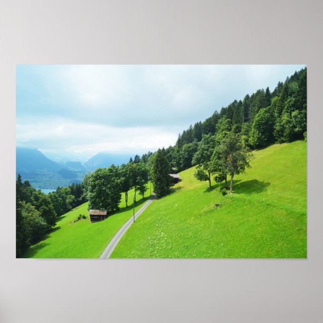 Swiss alps in summer poster (Front)