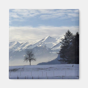 Swiss alps magnet