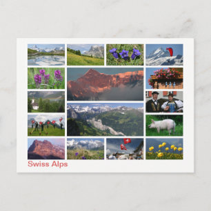 Swiss Alps multi-image Postcard