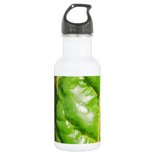 Swiss Chards 532 Ml Water Bottle