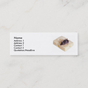 Swiss Cheese Mouse Profile Card