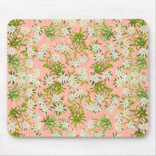 Swiss Edelweiss Alpine Flowers Mousepad