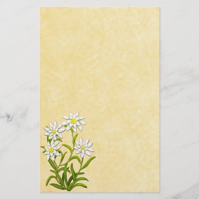 Swiss Edelweiss Flowers Stationery (Front)