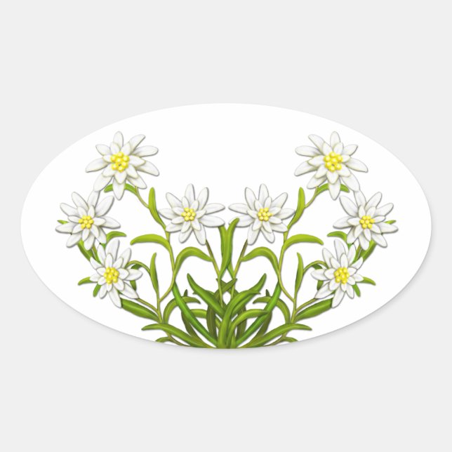 Swiss Edelweiss Flowers Sticker (Front)