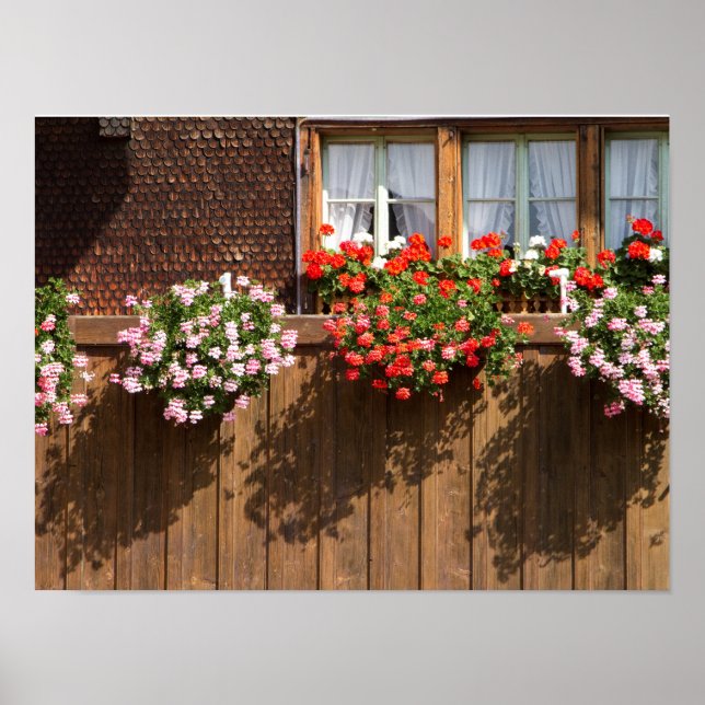 Swiss flower box poster (Front)