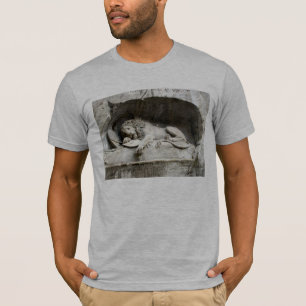 Swiss Images -The Lion monument, Luzern T-Shirt