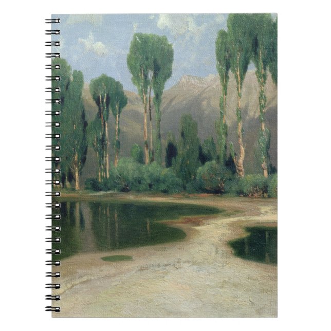 Swiss Landscape Spiral Notebook (Front)