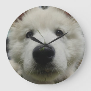 Swiss Shepherd Dog Wall Clock – Full Face Dog