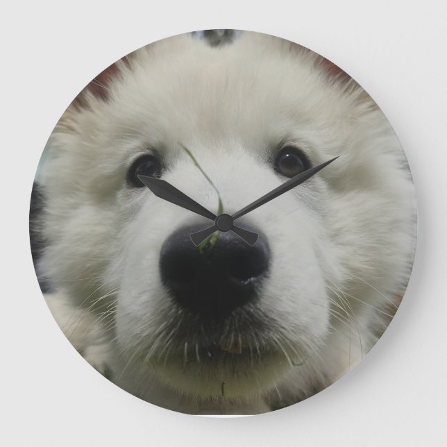 Swiss Shepherd Dog Wall Clock – Full Face Dog (Front)