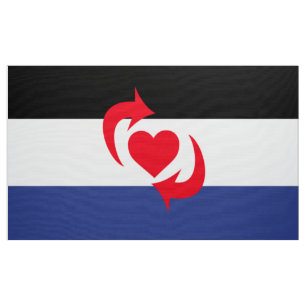 Switch Pride Flag Fabric