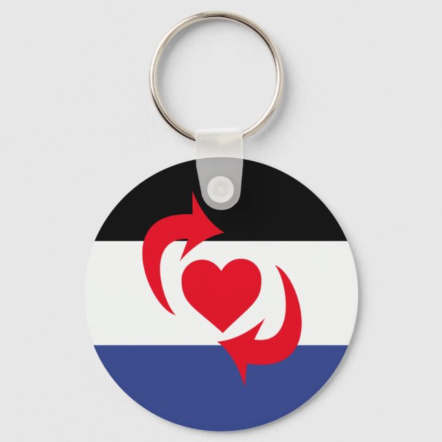 Switch Pride Flag Key Ring (Front)