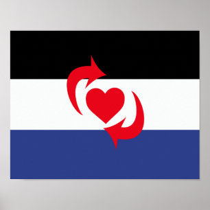 Switch Pride Flag Poster