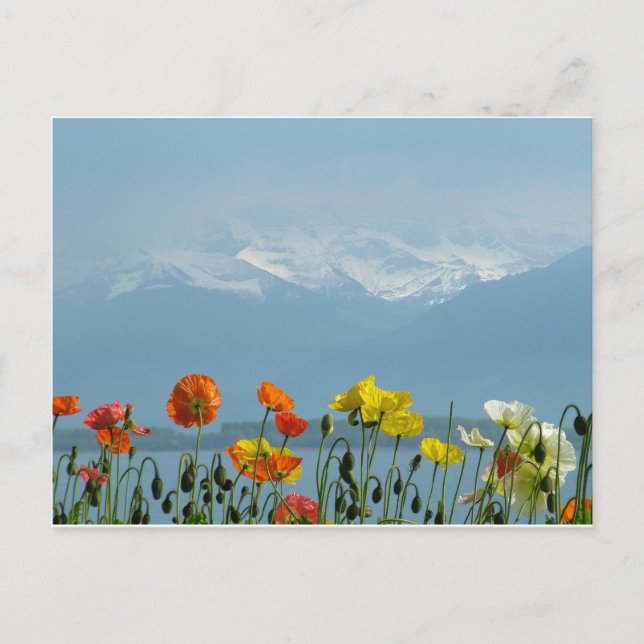 switzerland-16800 postcard (Front)