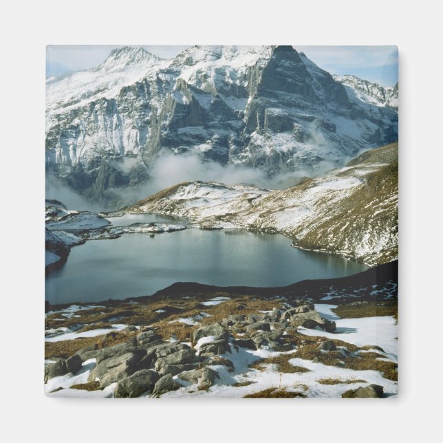 Switzerland, Grindelwald, Bernese Alps, View Magnet (Front)