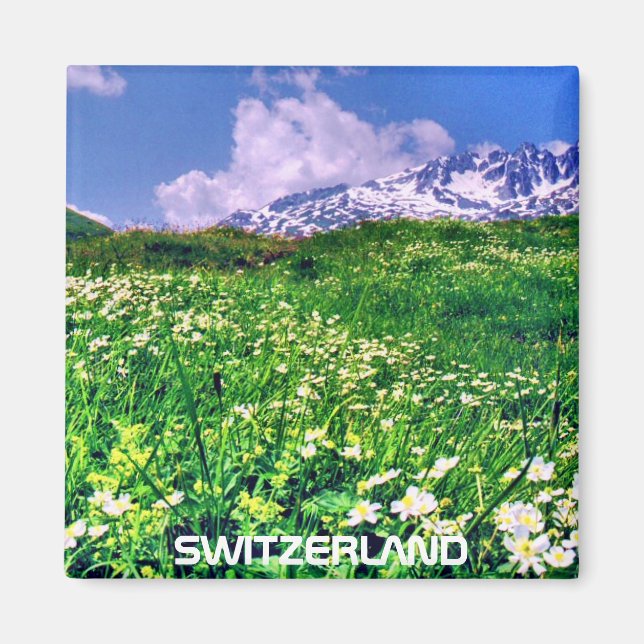 SWITZERLAND MAGNET (Front)