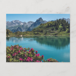 Switzerland Truebsee Titlis Postcard