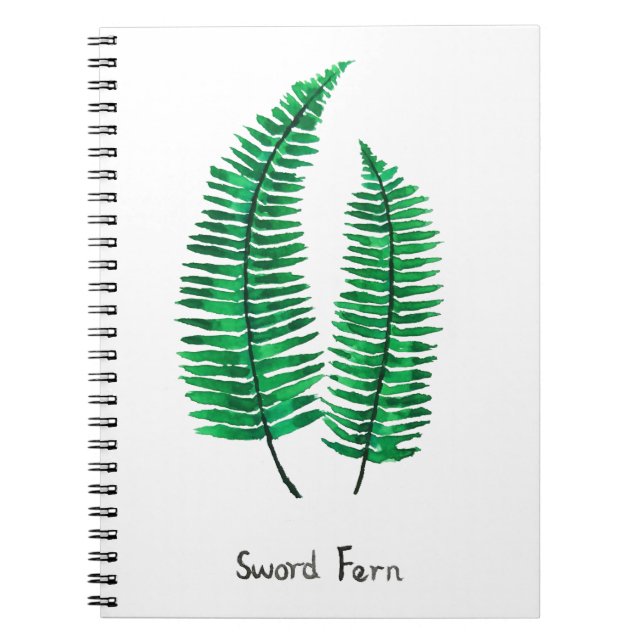 sword fern watercolor notebook (Front)