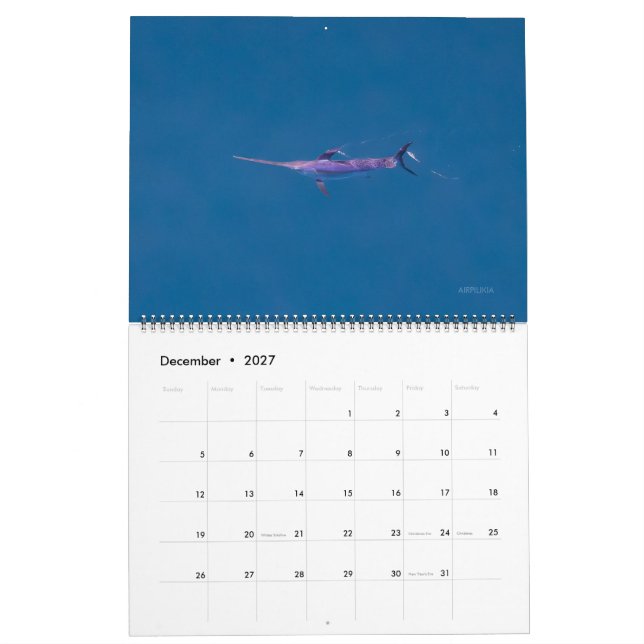 Swordfish Only Calendar 2026 (Dec 2027)