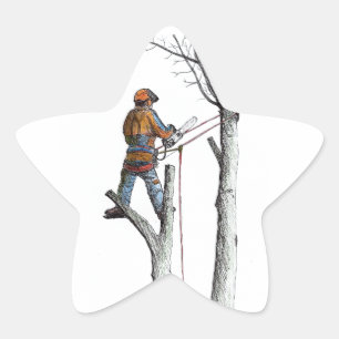Sycamore and 020t star sticker