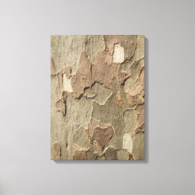 Sycamore Bark Stretched Canvas Art (Front)