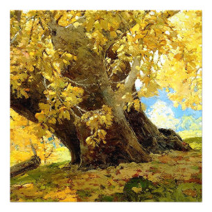 Sycamore in Autumn by Edgar Payne Photo Print