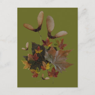 Sycamore Maple Leaves Collage DIY Postcard
