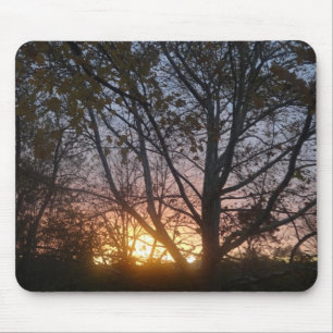 Sycamore Sunrise Mouse Pad