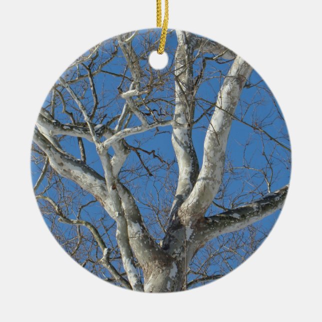 Sycamore Tree Against Winter Sky Items Ceramic Tree Decoration (Front)