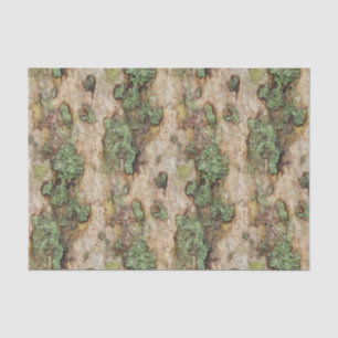 Sycamore Tree Bark Moss Lichen Tissue Paper