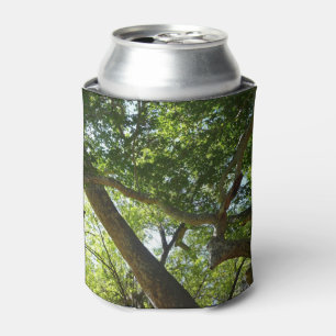 Sycamore Tree Green Nature Can Cooler