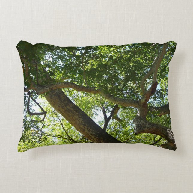 Sycamore Tree Green Nature Decorative Cushion (Front)