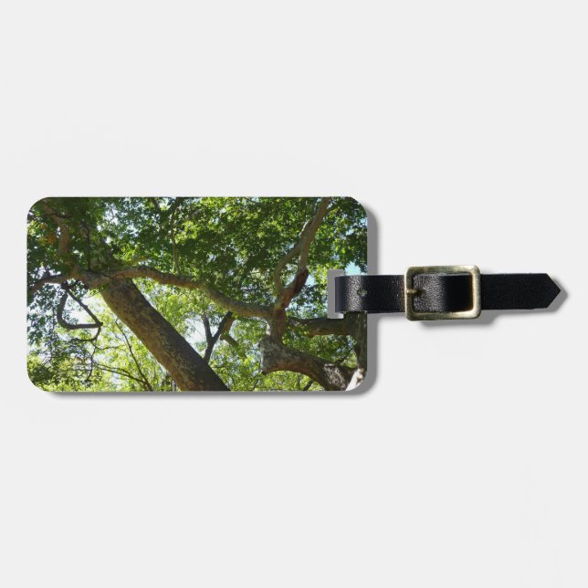 Sycamore Tree Green Nature Luggage Tag (Front Horizontal)
