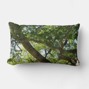 Sycamore Tree Green Nature Lumbar Cushion