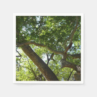 Sycamore Tree Green Nature Napkin