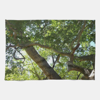 Sycamore Tree Green Nature Tea Towel