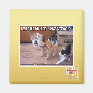Sychronized Spaz Attack Magnet